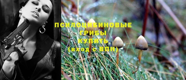 стаф Белокуриха
