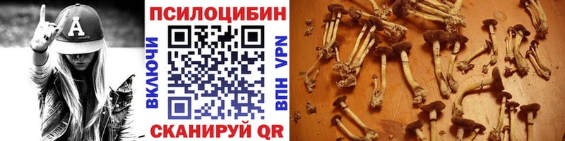 Галлюциногенные грибы Magic Shrooms Карачев